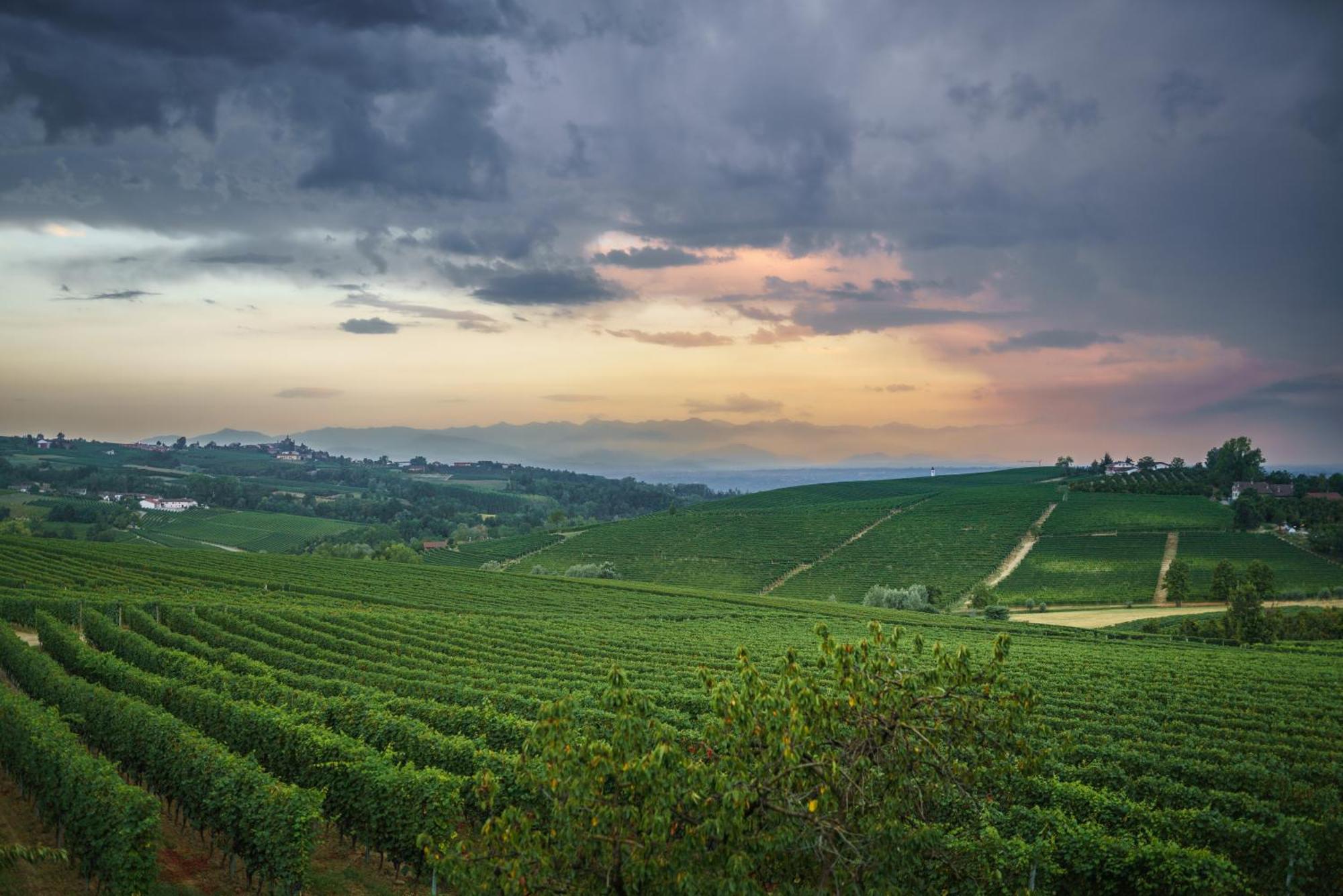 Vineho Leilighet Barolo Eksteriør bilde